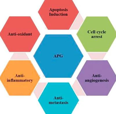 Apigenin function