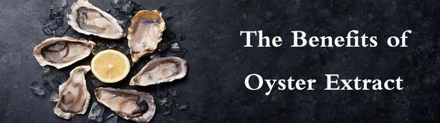 The benefits of oyster extract
