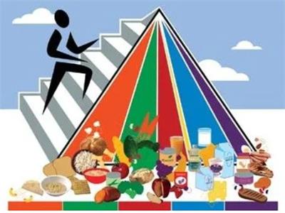 sport nutrition sport nutrition