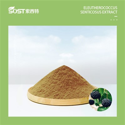 Ekstrakt Eleutherococcus Senticosus