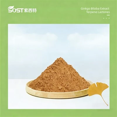 Ekstrakt ginka bilobe terpenski laktoni 6%