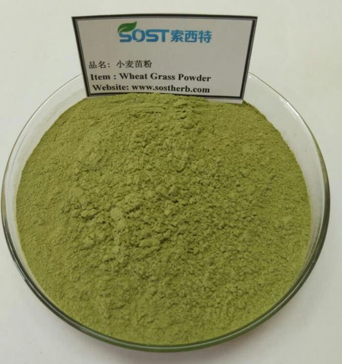 Wheat Grass Powder