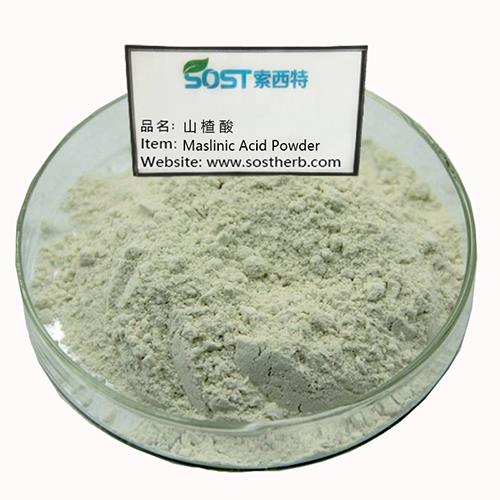 Maslinic Acid