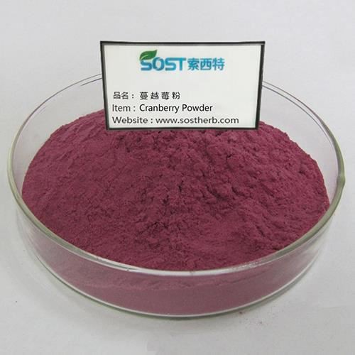 Ekstrakt voća brusnice u prahu