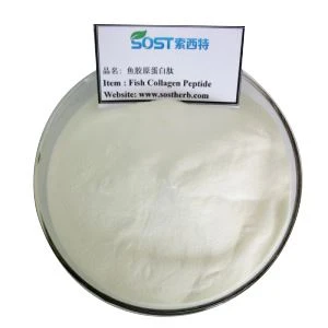 Fish Collagen Peptide Extract Powder