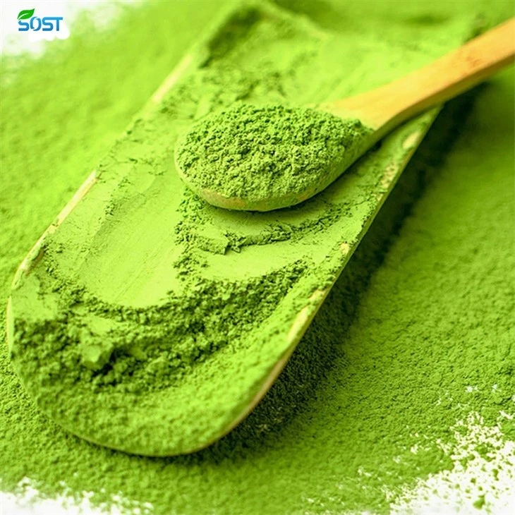 Matcha Tea Green Tea