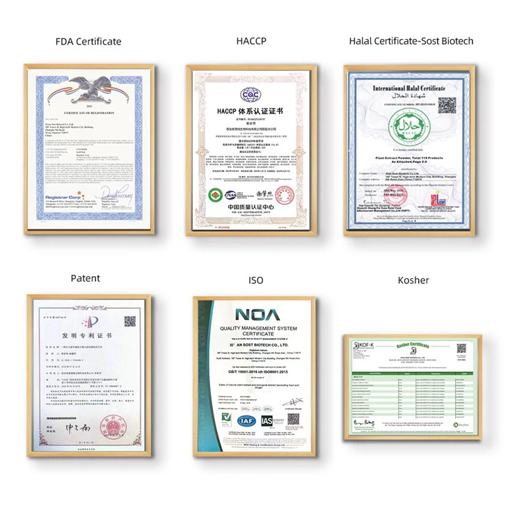 Calcium Oxide Powder