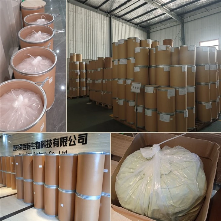 Hericium Erinaceus Extract best